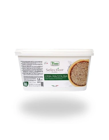 Semilla de dáctilo PINETA 1.2 KG (ERBA MAZZOLINA)